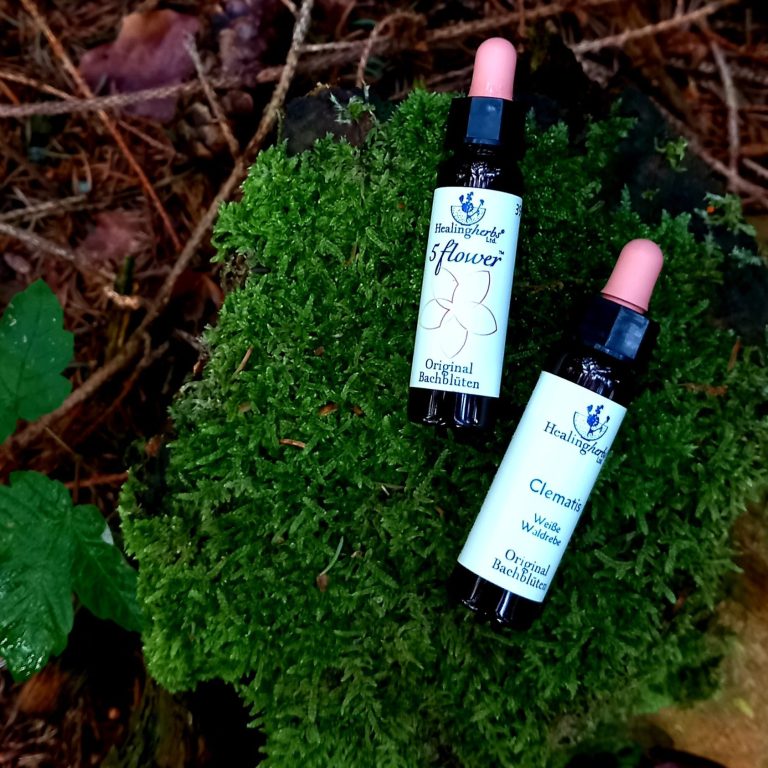 Bachblüten Michaela Hochwallner Massage